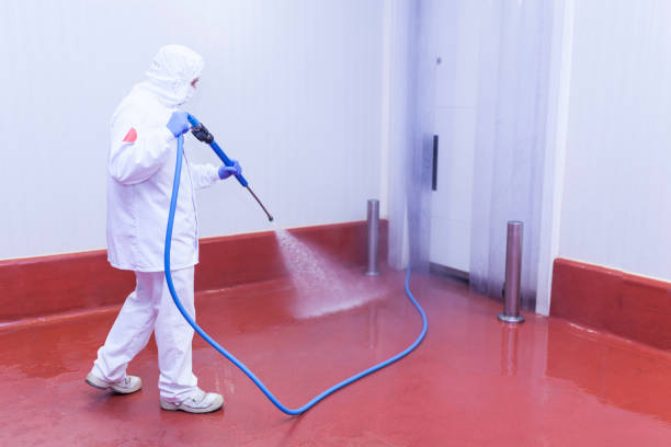 Professional Pressure Washing in Day Heights, OH